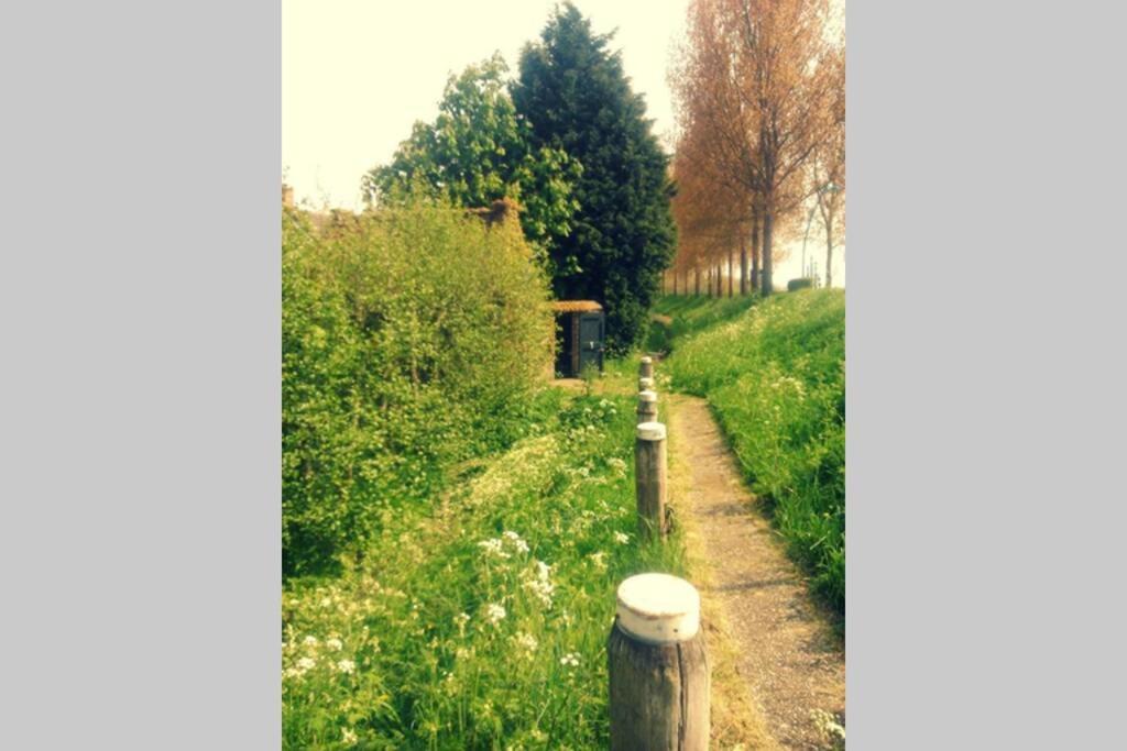 Logeren Op De Thoolse Parel Vakantiehuis Stavenisse 외부 사진