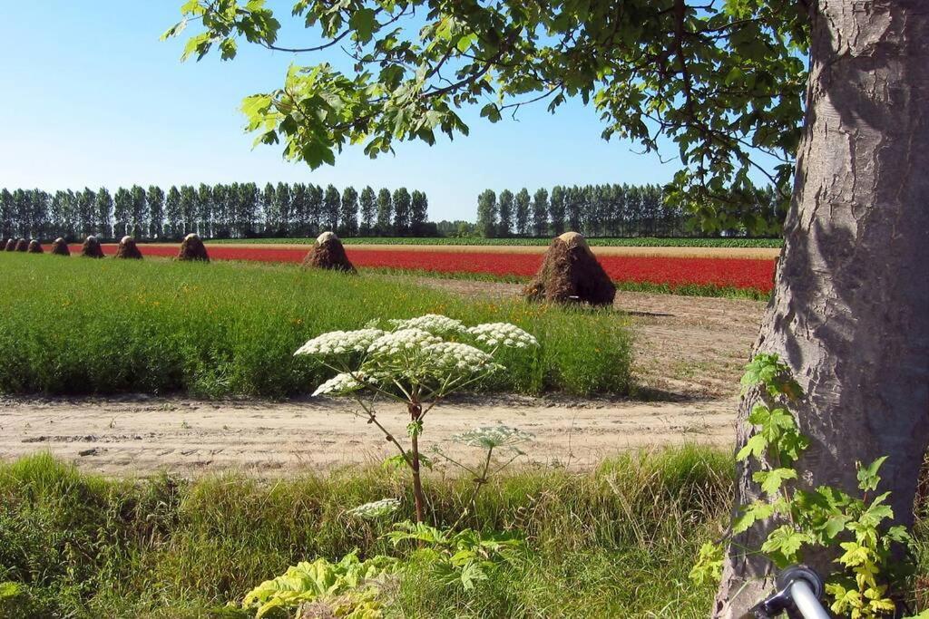 Logeren Op De Thoolse Parel Vakantiehuis Stavenisse 외부 사진