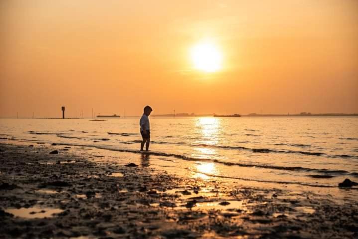Logeren Op De Thoolse Parel Vakantiehuis Stavenisse 외부 사진